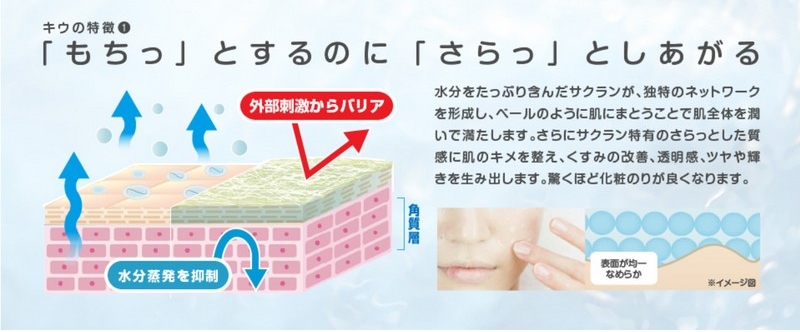 �L�E���C�X�`���[�v���e�N�g�Q�����T�C�g